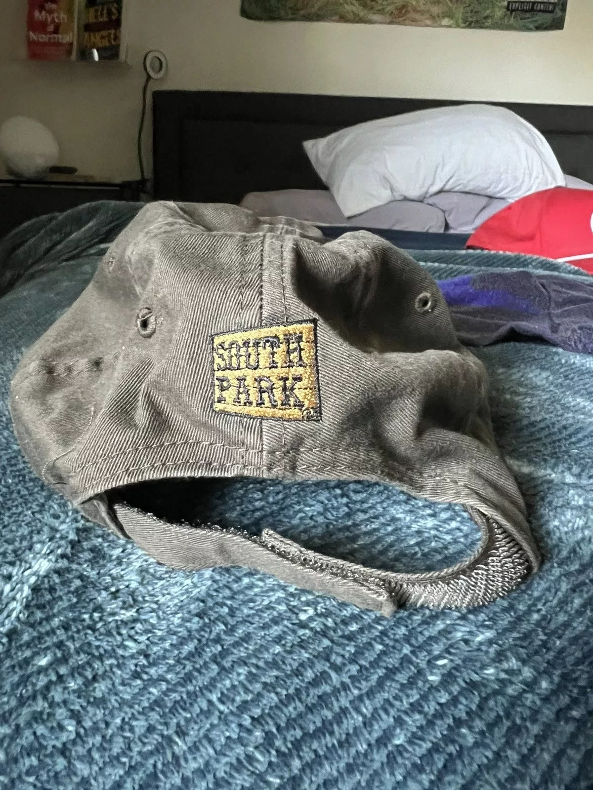 Other Hats Other Mr. Hankey rare hat Brown