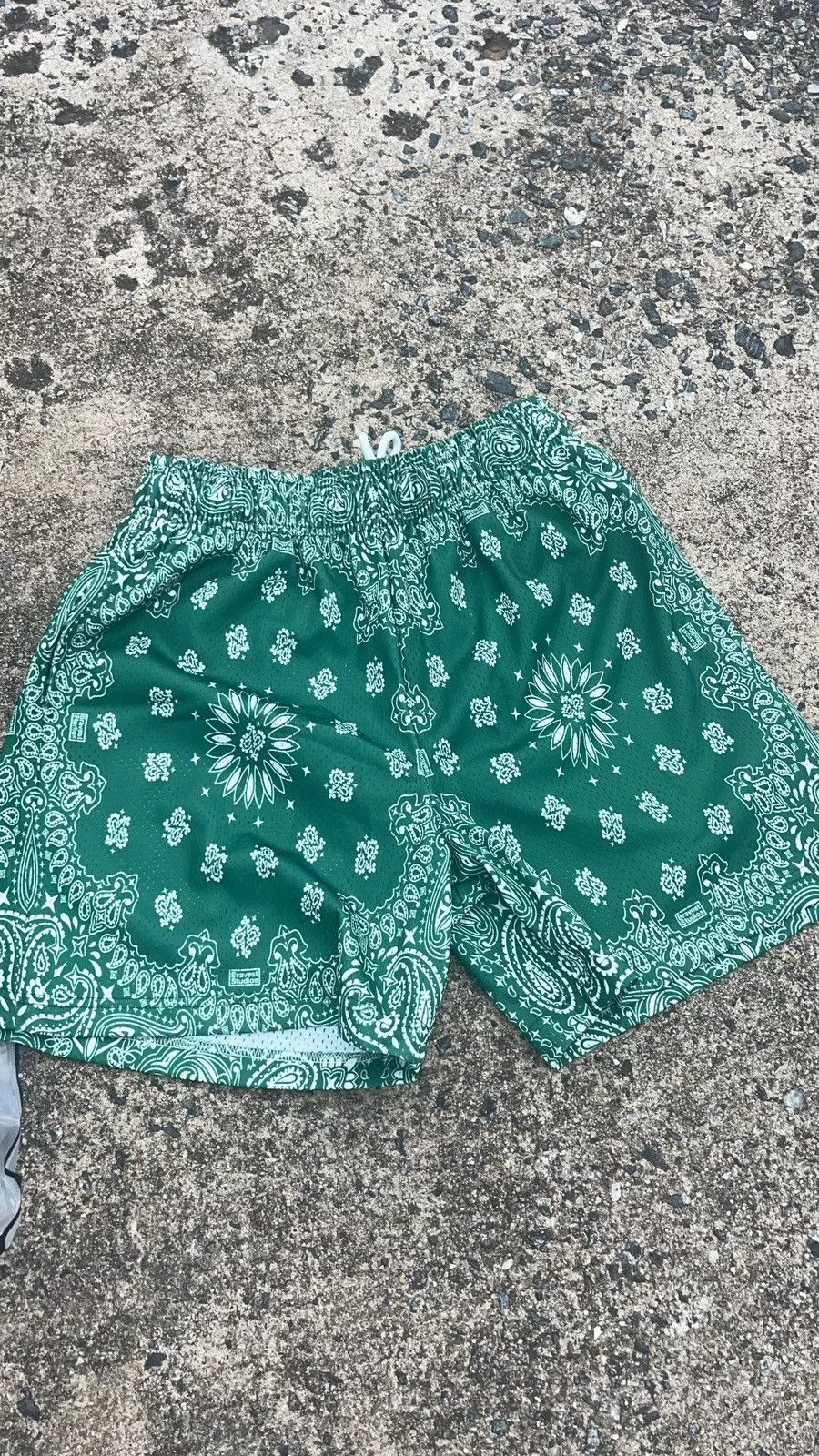 Bravest Studios Shorts Bravest Studios “ Paisley Green” Shorts