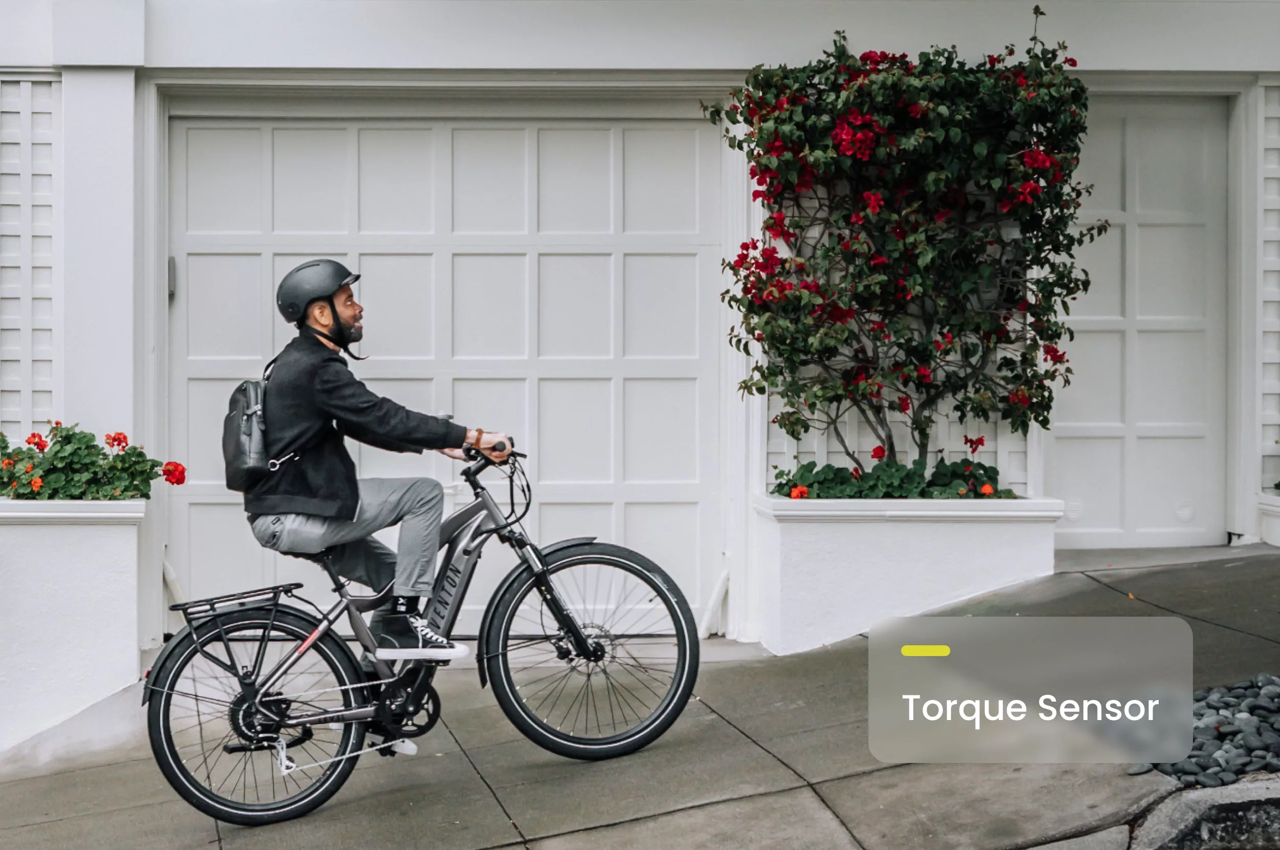 Level info - Torque sensor - common