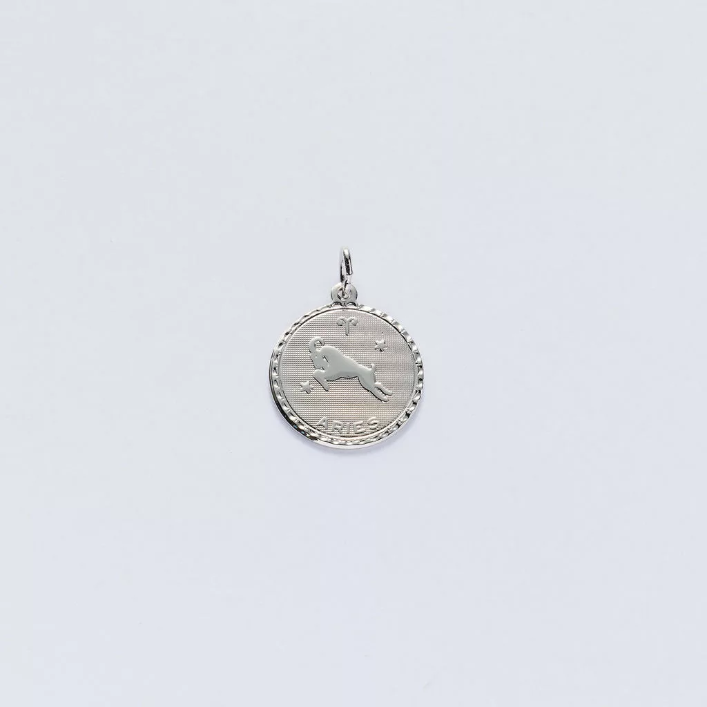 Zodiac Charms
