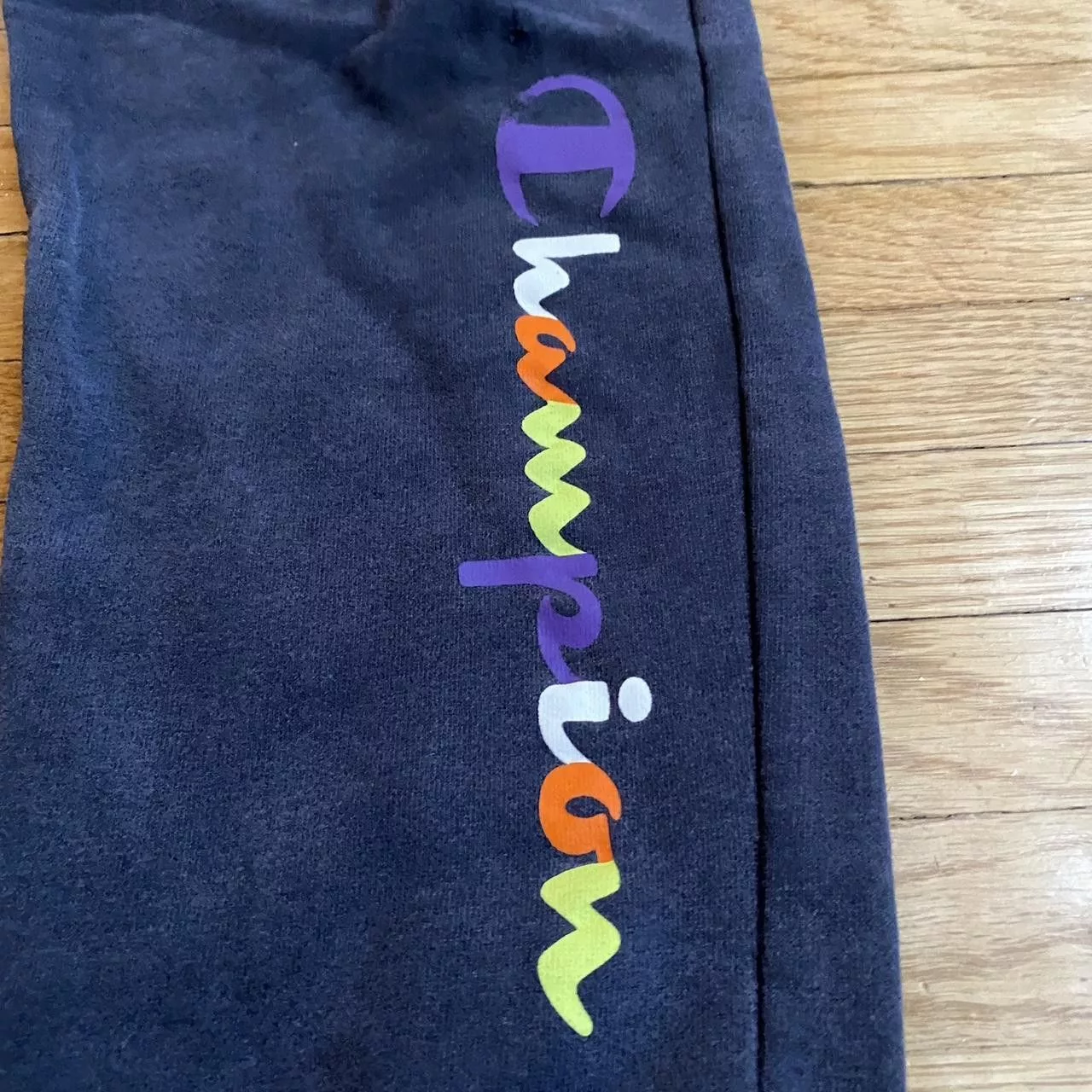 Champion sweatpants Blue