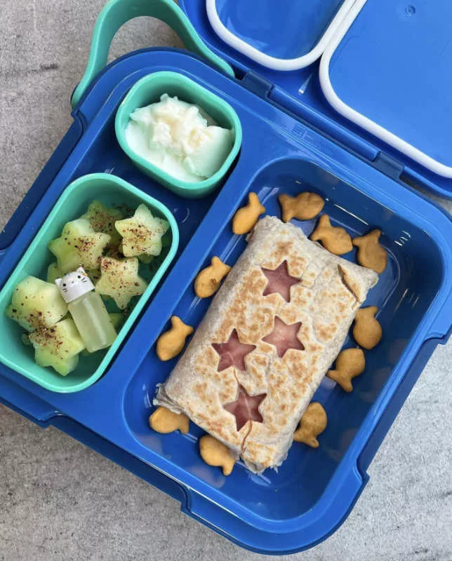 Blue Neat Bento Box