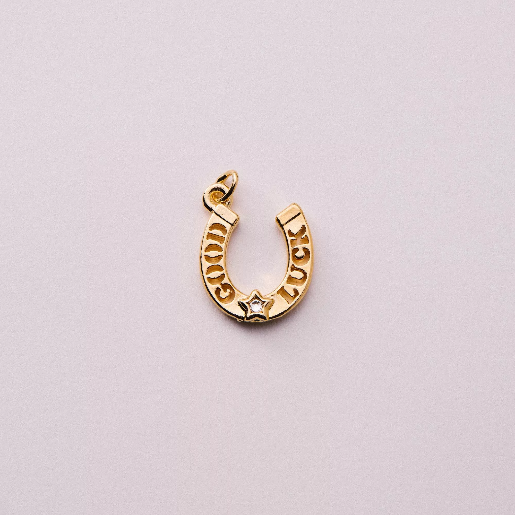 Horseshoe Charm