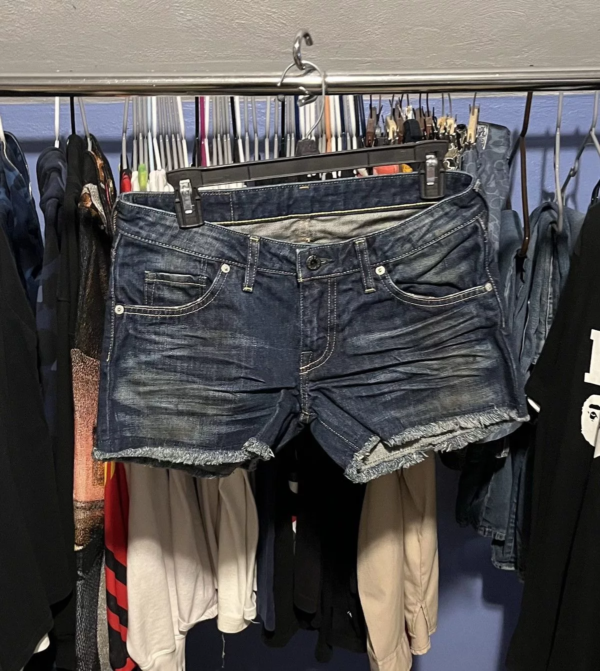 Bape Shorts Multi
