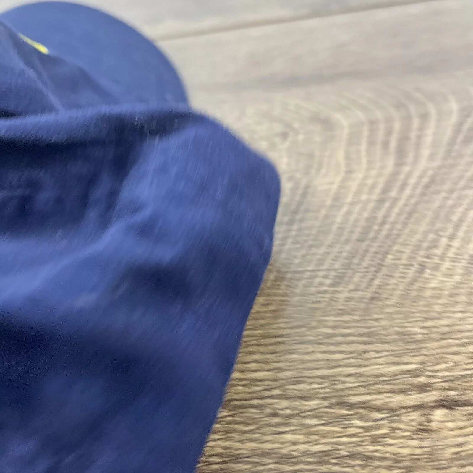 Other Hats Other 1199 SEIU Hat Retired Active Adjustable Hat Blue Adjustable