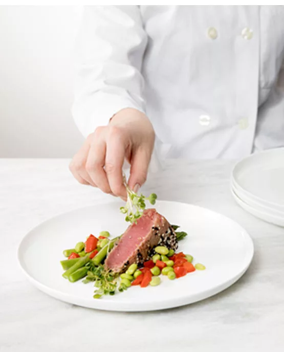 Modern Coupe Dinner Plate 10.5"
