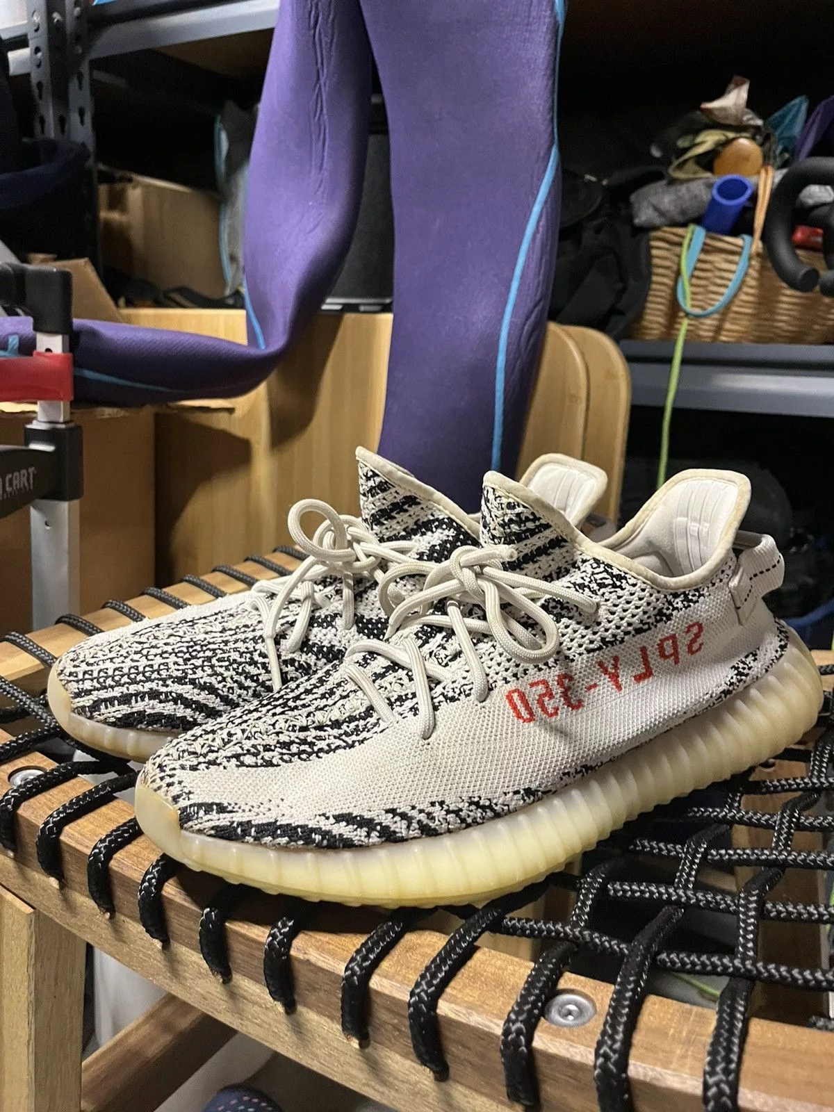 Adidas Low Top Sneakers Adidas × Kanye West Adidas Yeezy Boost 350 V2 Zebra, Size 10.5 Mens, Used White