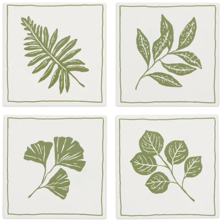 Fern & Frond Soak Up Coasters 4/Set