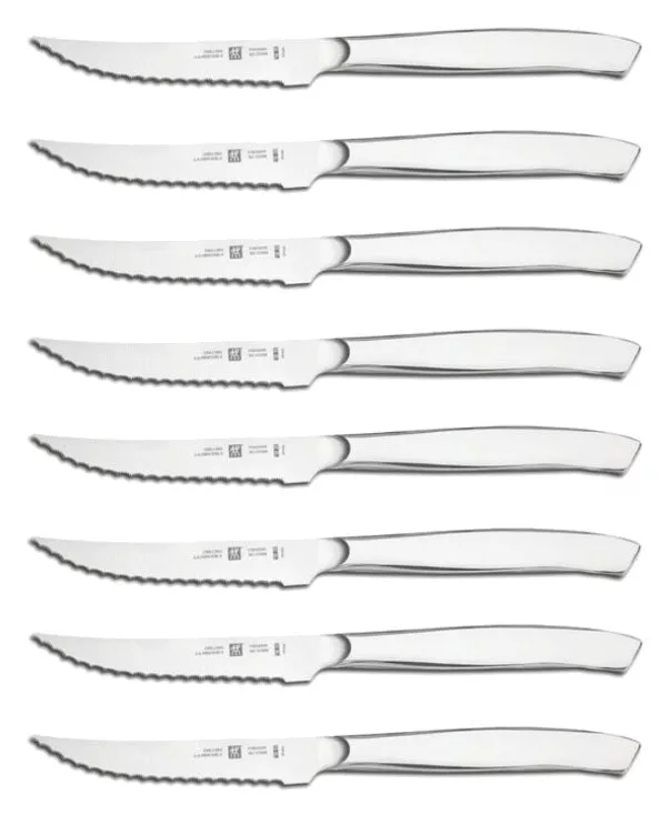 8pc Serrated Steak Set w/Case SS