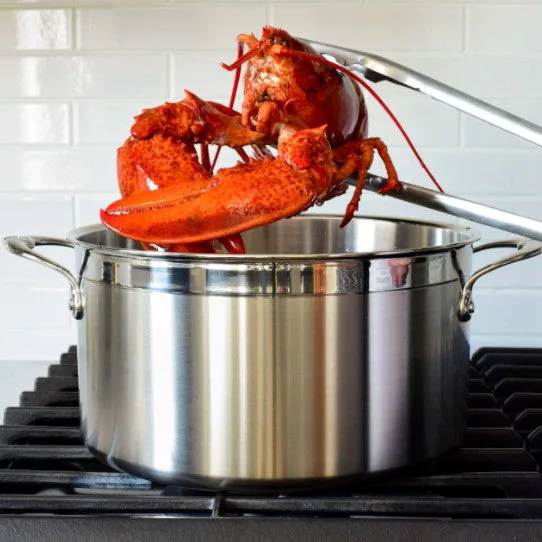8 Qt ProBond Covered Stock Pot