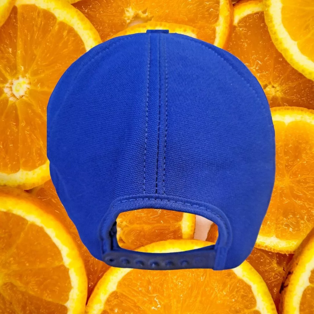 Other Hats Other SKM Basic Life Support EMS 72 Cumberland County Baseball Hat Blue
