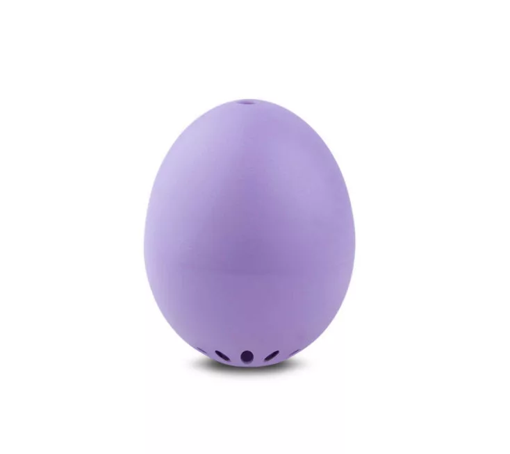 Purple BeepEgg Basic