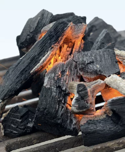 Rockwood Charcoal - 20 lb Bag