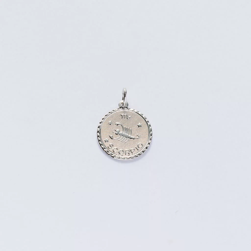 Zodiac Charms