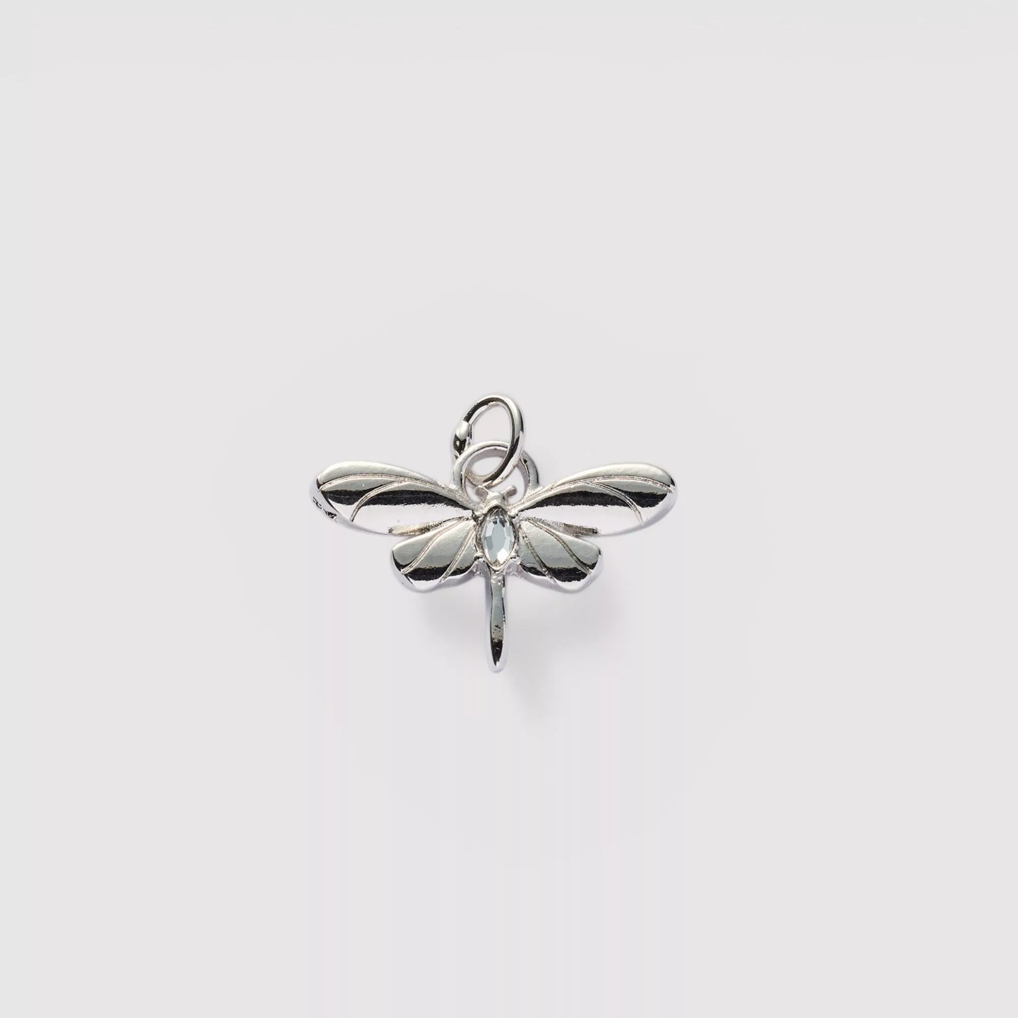 Guided Dragonfly Charm