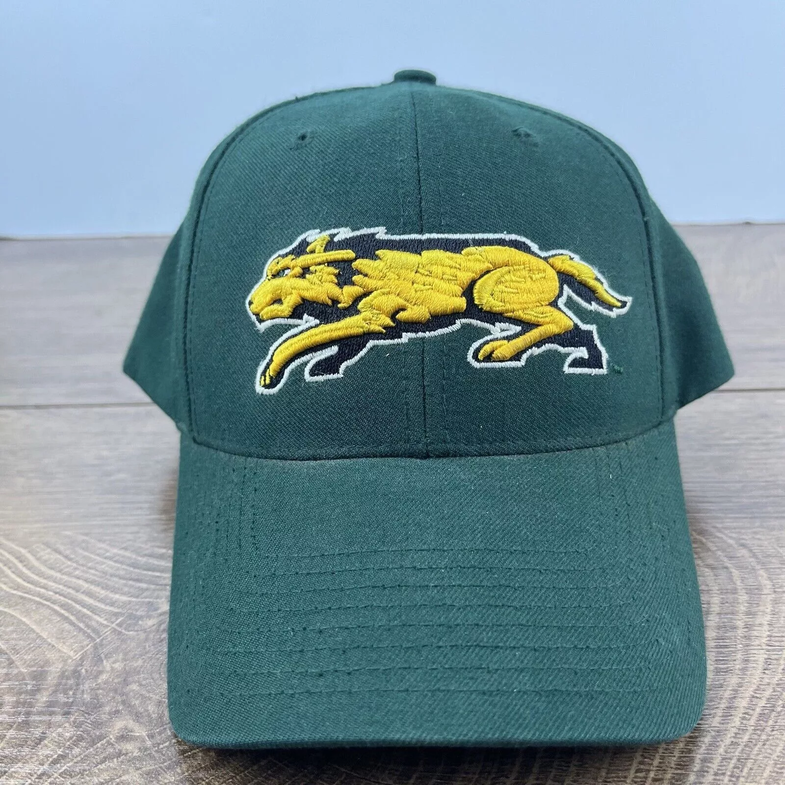 Other Hats Other Wright State Raiders Green Hat NCAA Green Hat Adjustable Hat