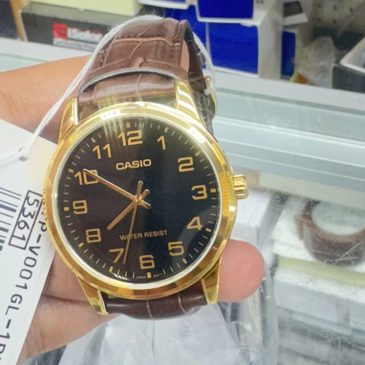 Casio Jewelry Watches Casio Watch White