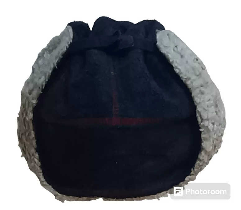 Gap Hats GAP FLEECE EARFLAP HAT Blue