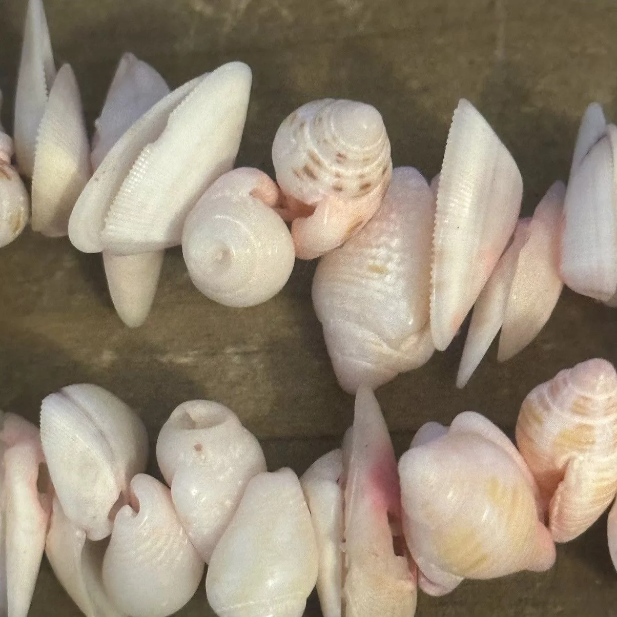 Other Necklaces Other Long pink seashell necklace