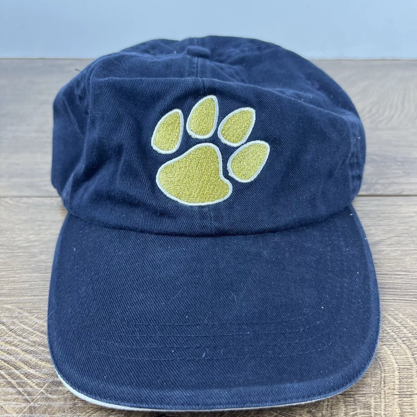 Other Hats Other Trinity Lutheran High School Hat Blue Adjustable Hat Cougar