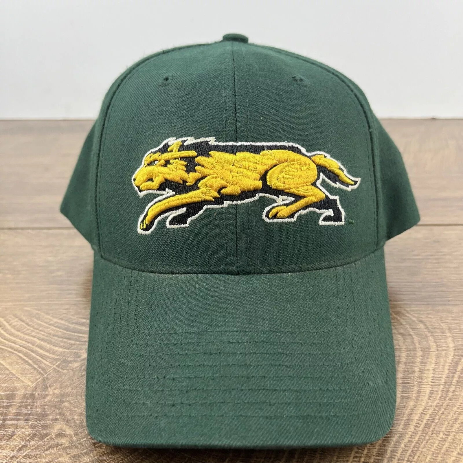 Other Hats Other Wright State Raiders Green Hat NCAA Green Hat Adjustable Hat