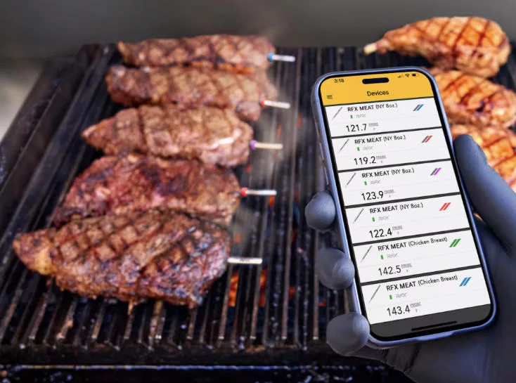 RFX MEAT/GATEWAY Starter Kit, includes 4 probes