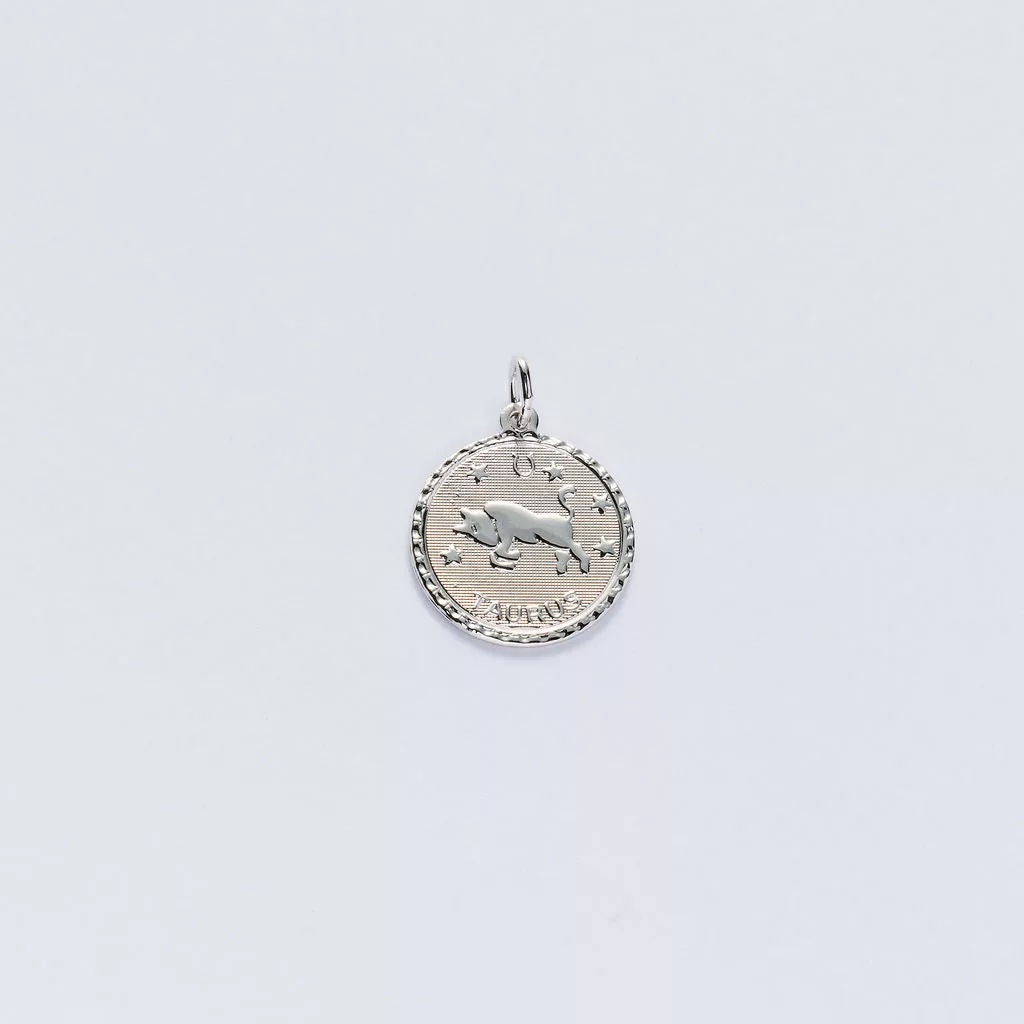 Zodiac Charms