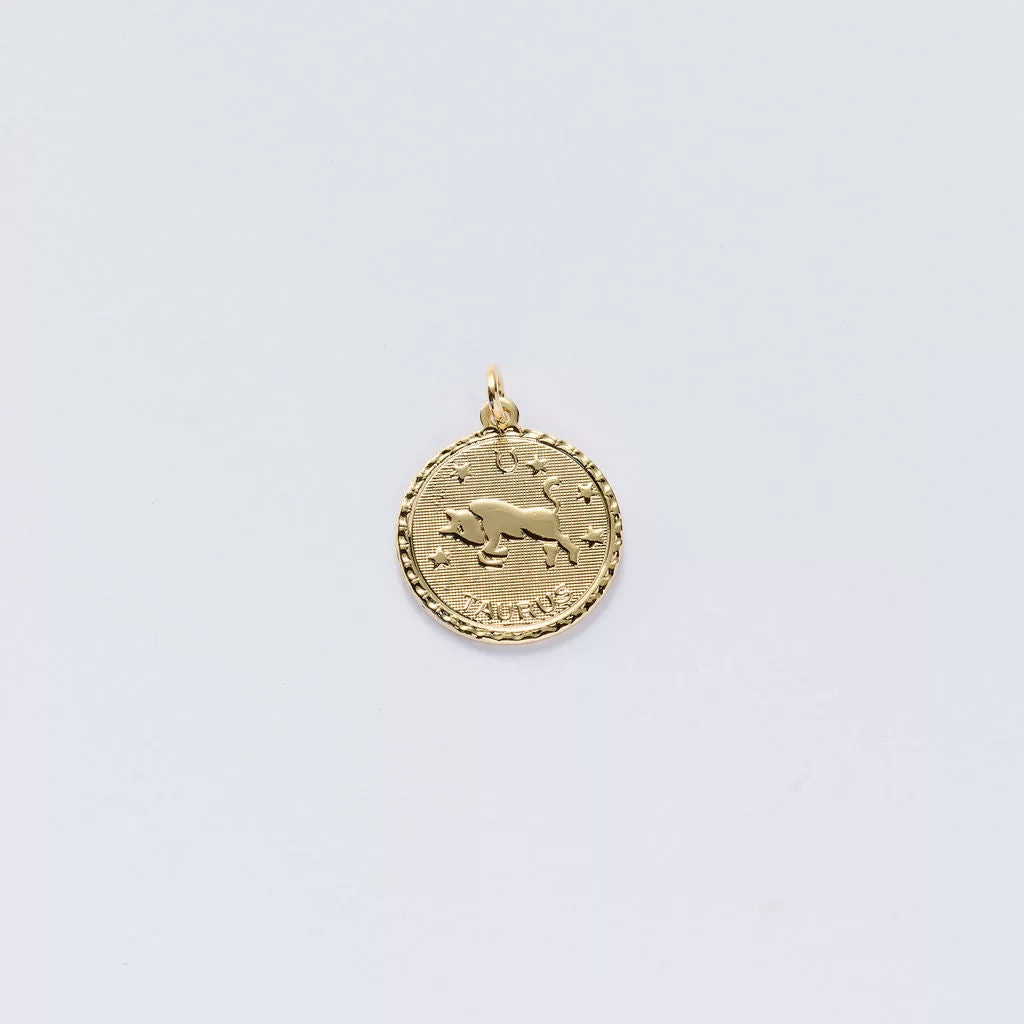 Zodiac Charms