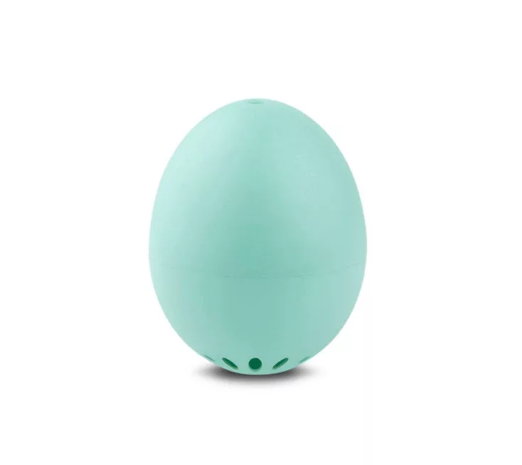 Turquoise BeepEgg Basic