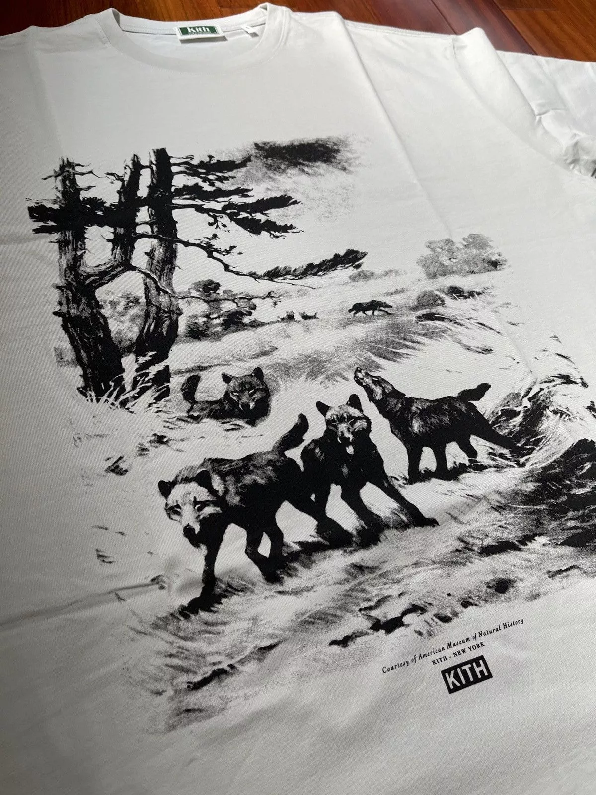 Kith Short Sleeve T Shirts Kith x AMNH Wolves Vintage Tee - Concrete Multi