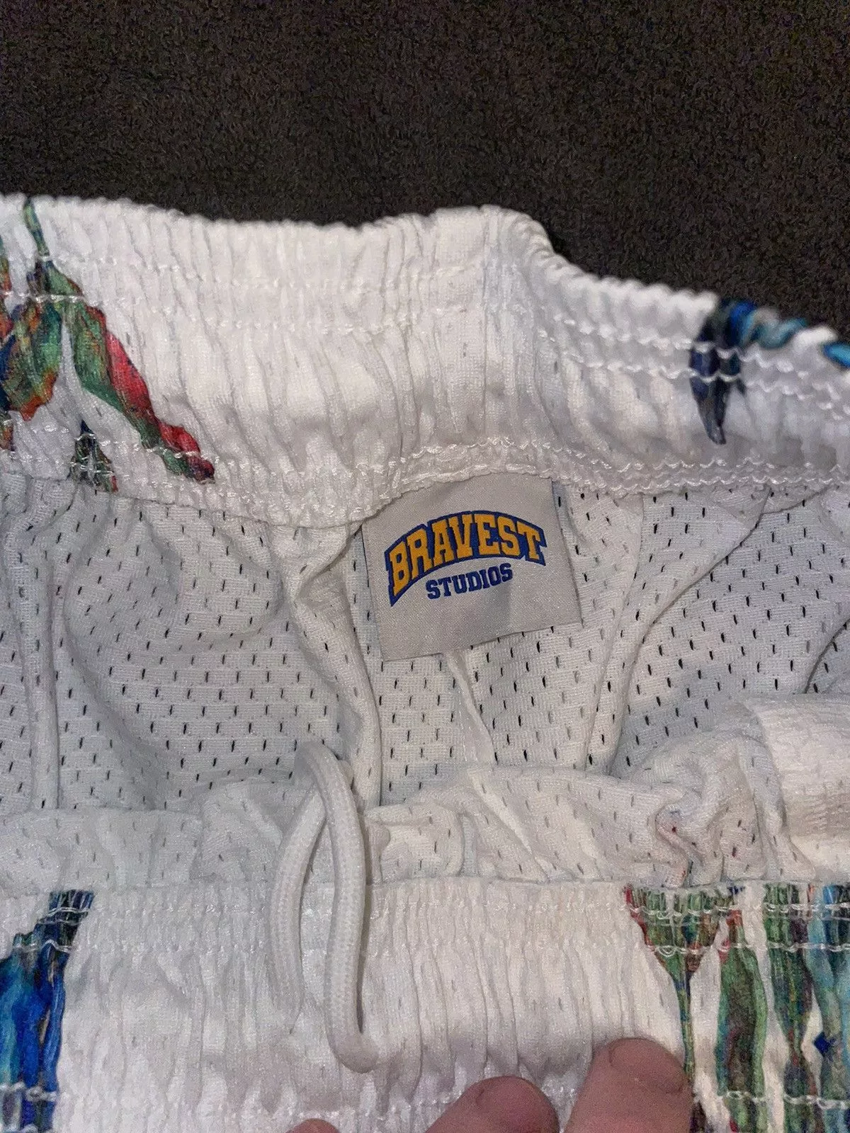 Bravest Studios Shorts Bravest Studios Paradise shorts Multi