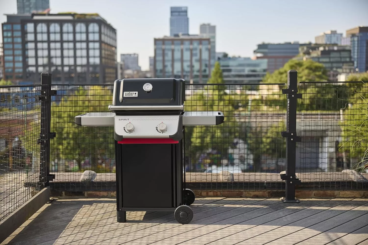 Weber Spirit E-210 Grill – 2-Burner Liquid Propane BBQ, Black