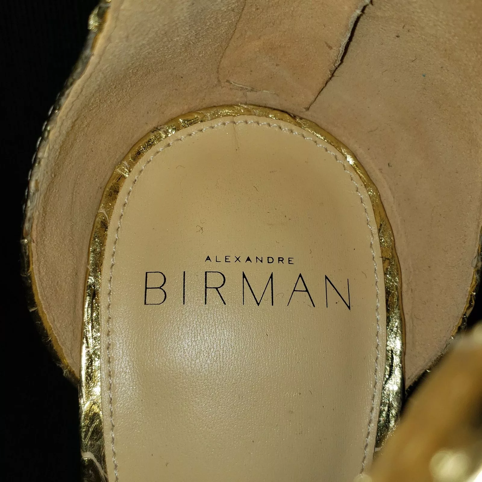 Alexandre Birman Heels $795 List Alexandre Birman Gold toned python spike heels