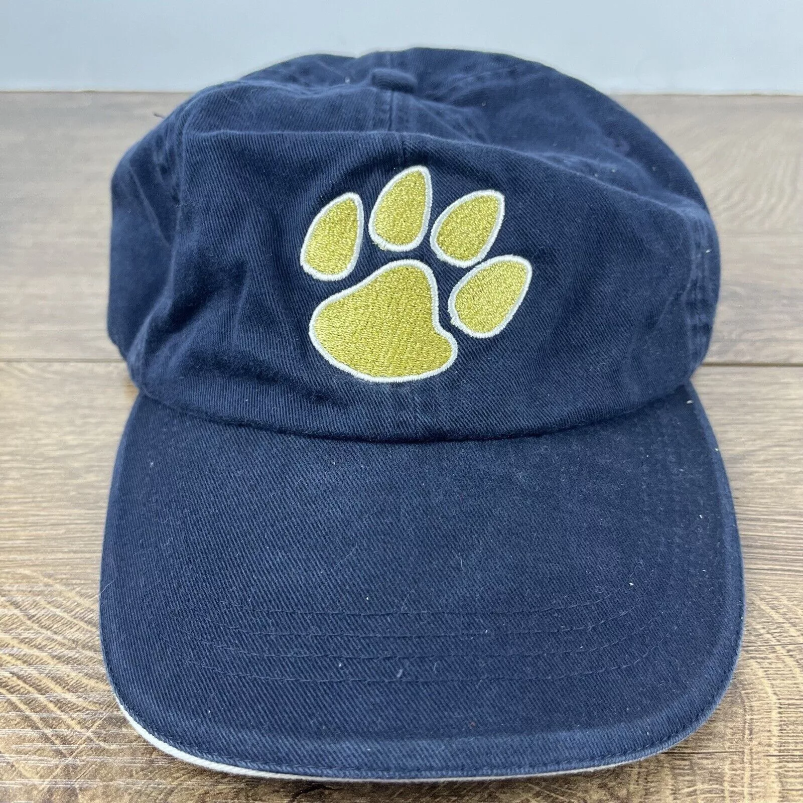 Other Hats Other Trinity Lutheran High School Hat Blue Adjustable Hat Cougar