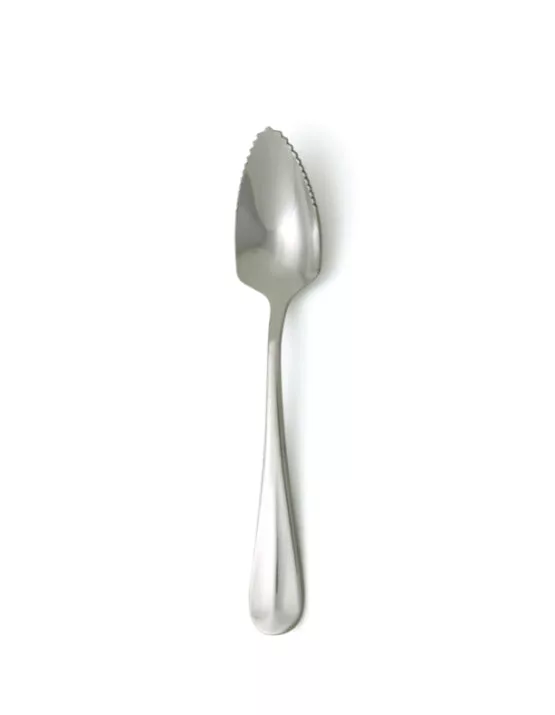 Grapefruit Spoon
