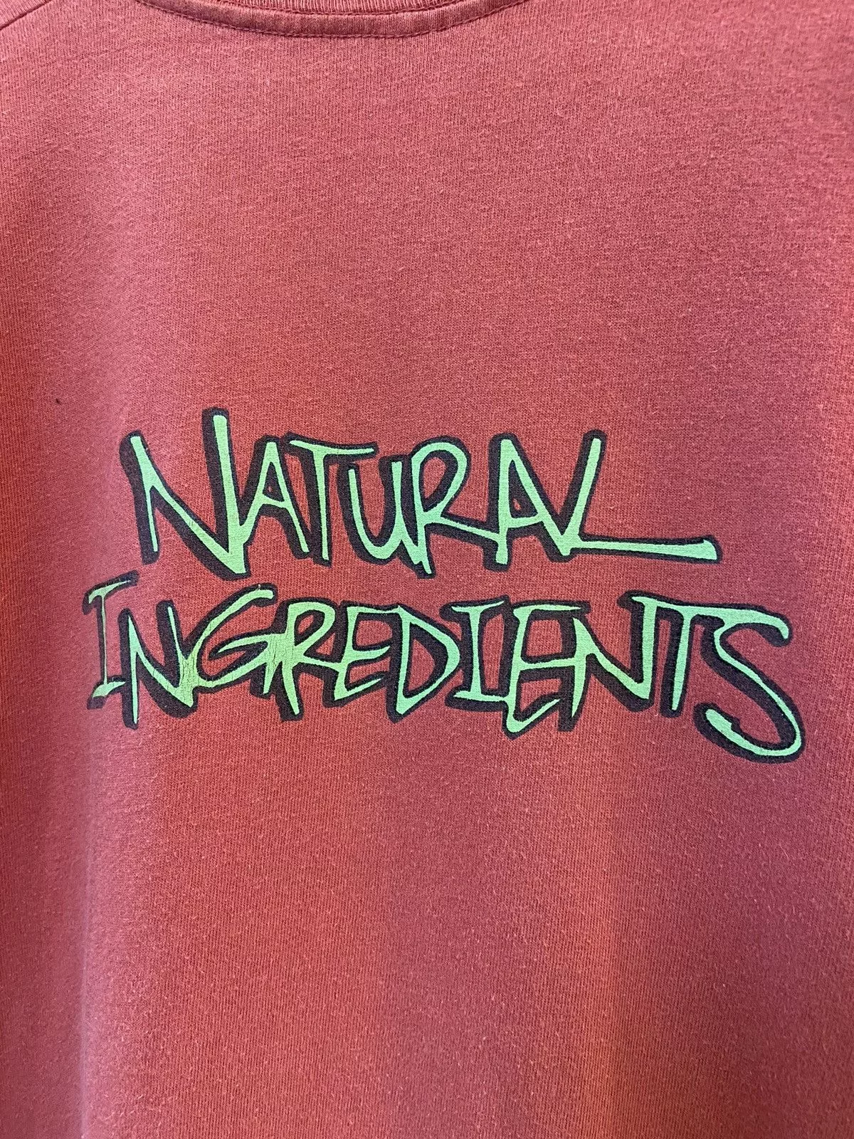Band Tees Short Sleeve T Shirts Band Tees × Vintage VINTAGE LUSCIOUS JACKSON NATURAL INGREDIENTS T-SHIRT LARGE
