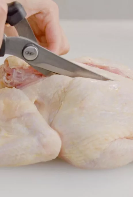 Poultry Shears