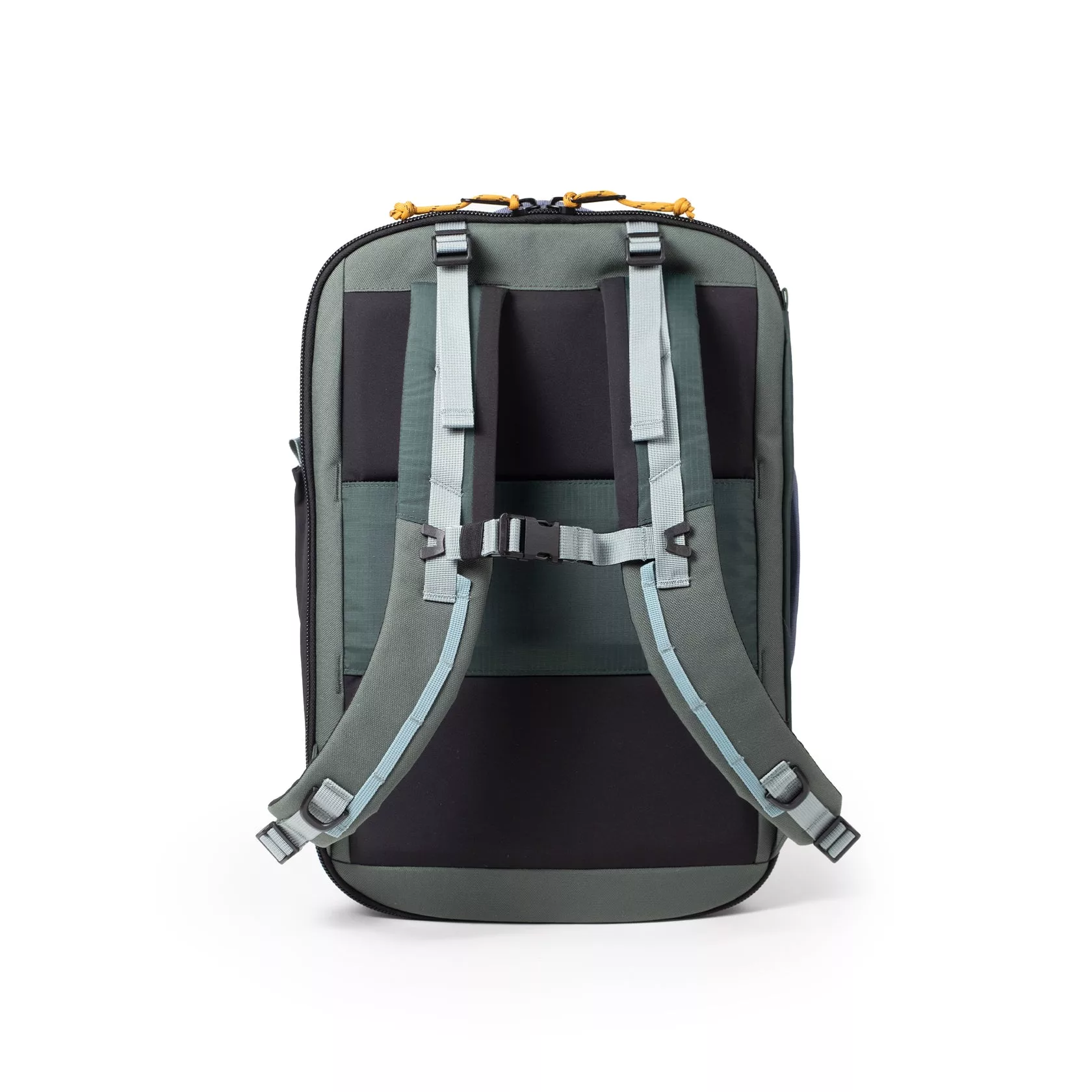 Global Travel Backpack