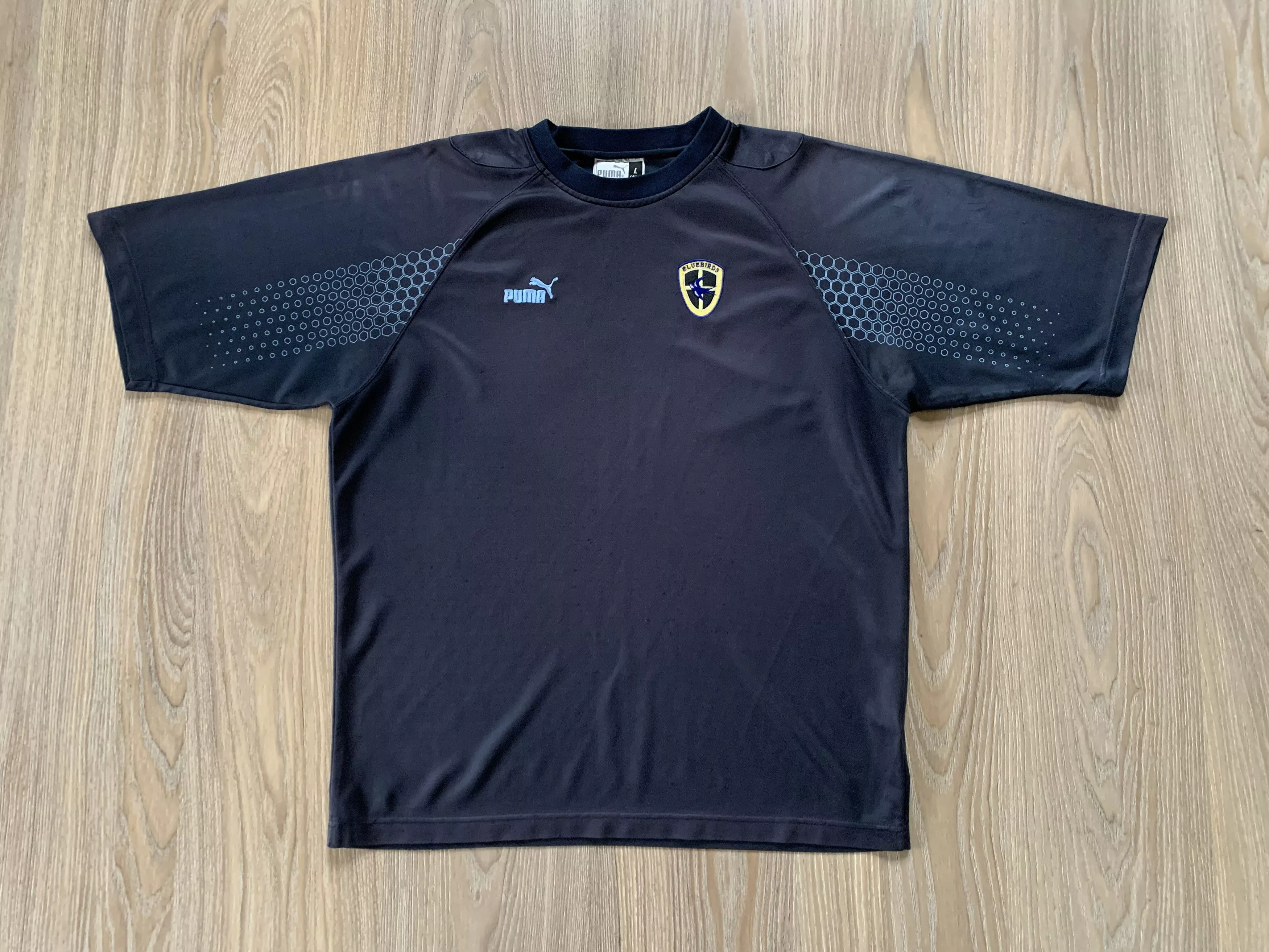 Puma Polos Puma × Vintage Vintage Puma Bluebirds Training T Shirt