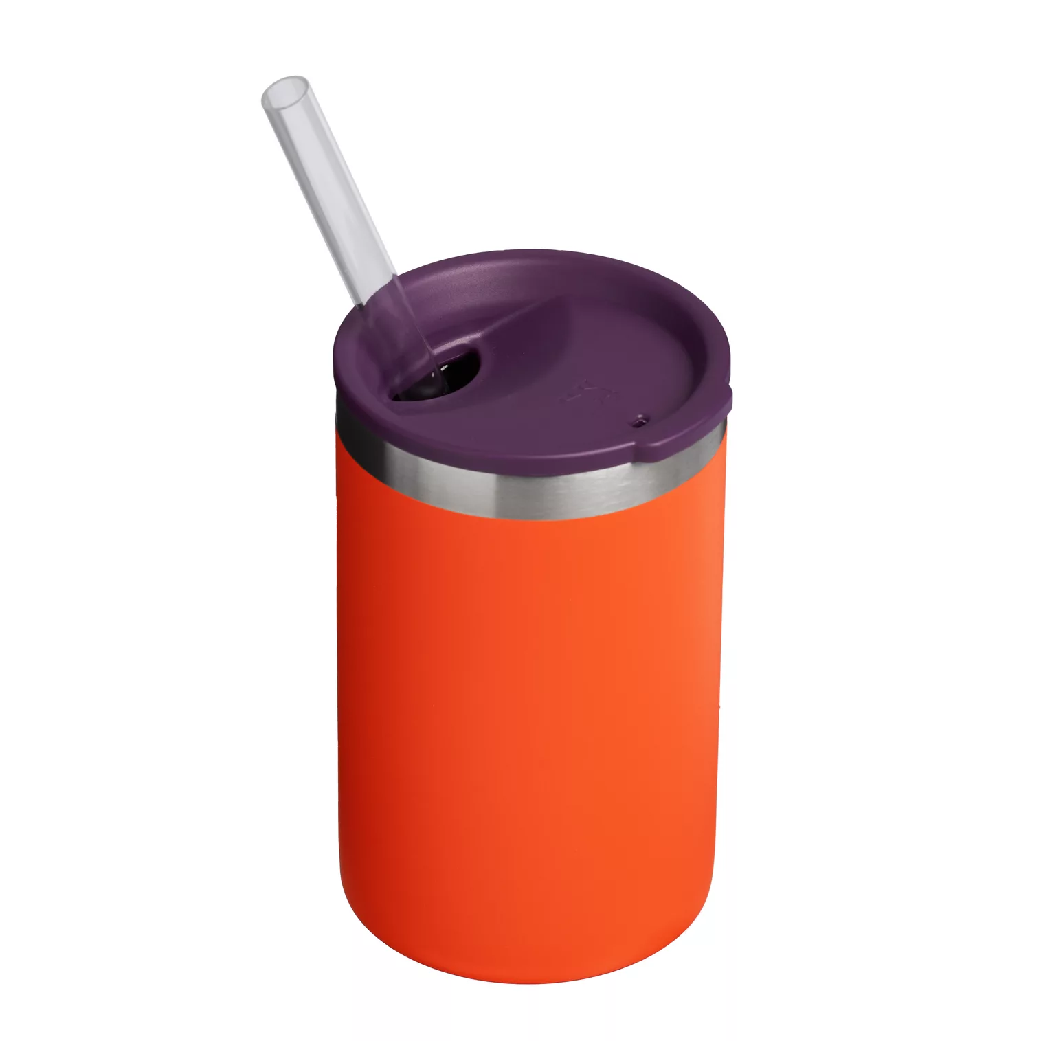 The Everyday Can Cooler Cup | 10 OZ - Stanley Create
