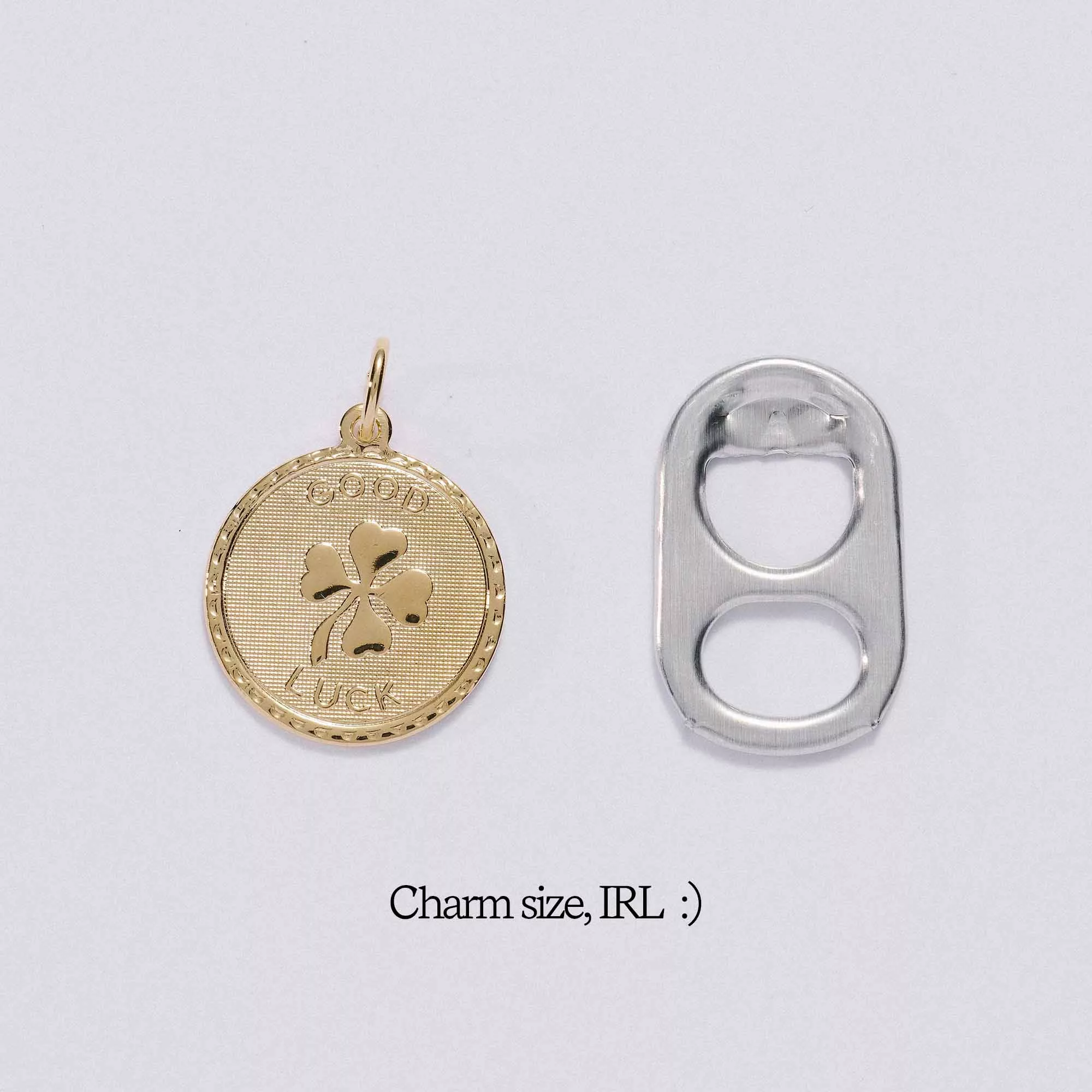 Good Luck Token Charm