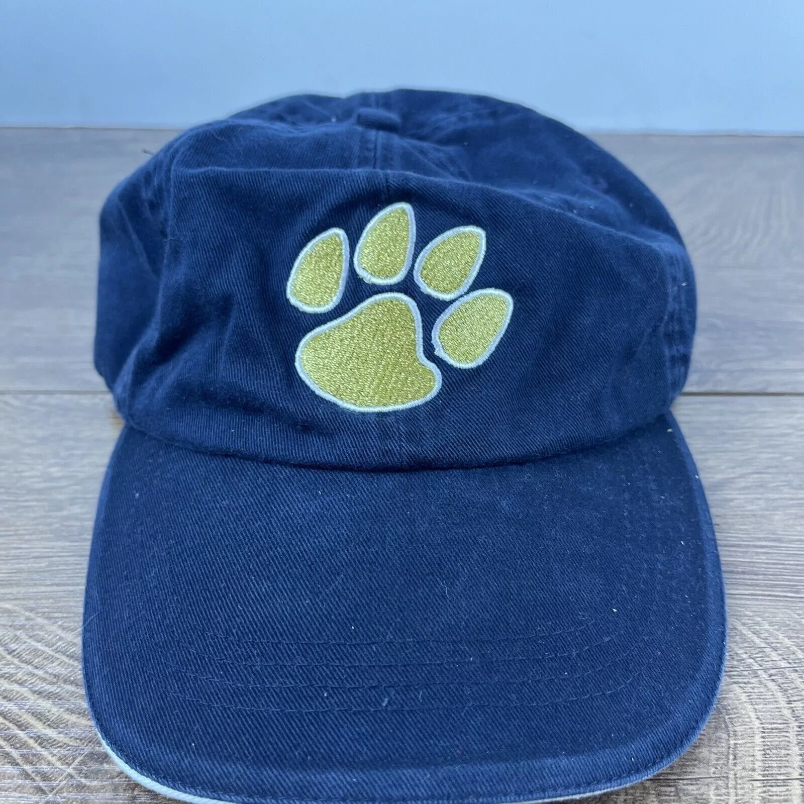 Other Hats Other Trinity Lutheran High School Hat Blue Adjustable Hat Cougar