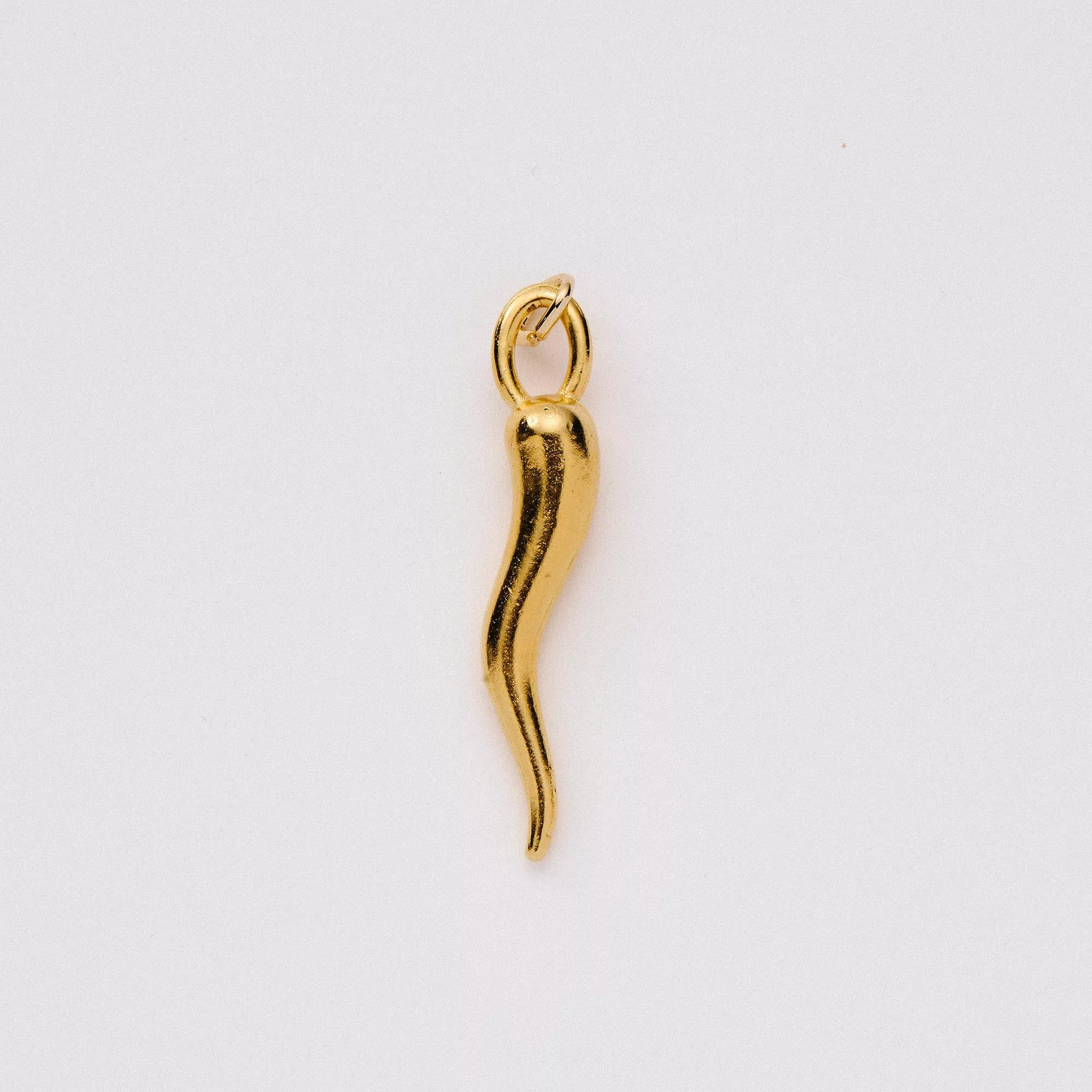 Italian Horn Luck and Protection Charm