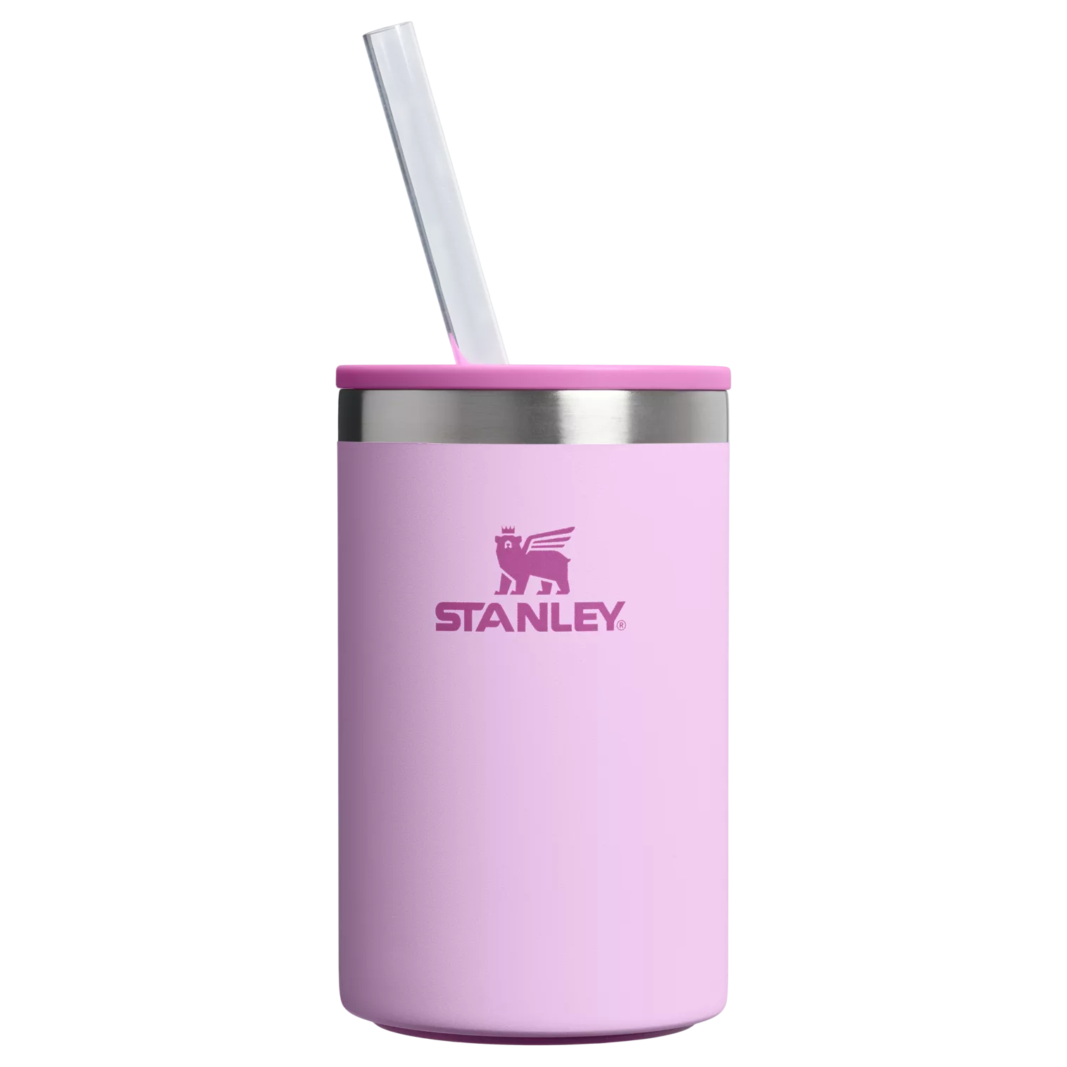 The Everyday Can Cooler Cup | 10 OZ - Stanley Create