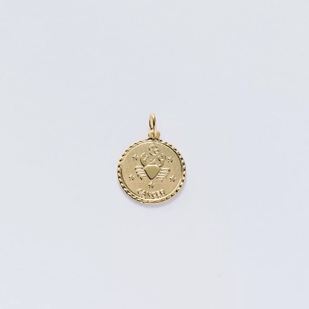 Zodiac Charms