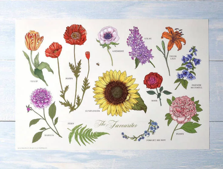 Floral Specimens Placemats 20pk