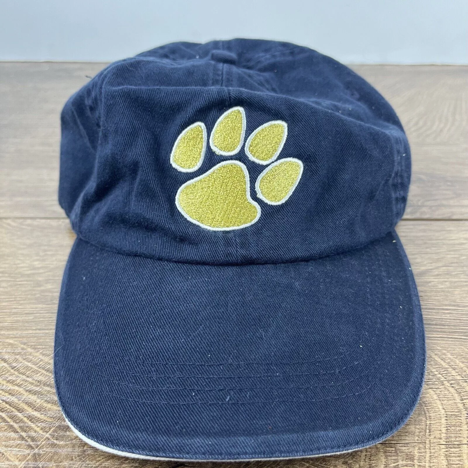Other Hats Other Trinity Lutheran High School Hat Blue Adjustable Hat Cougar