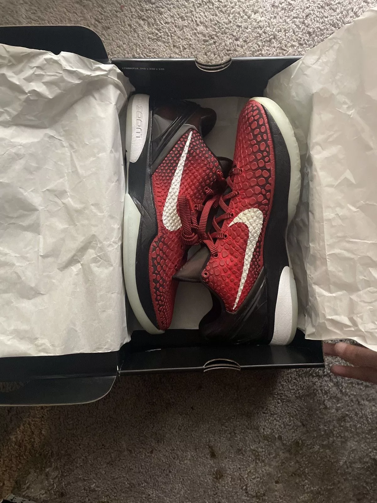 Nike Low Top Sneakers Nike Kobe Vl PRONTO Black