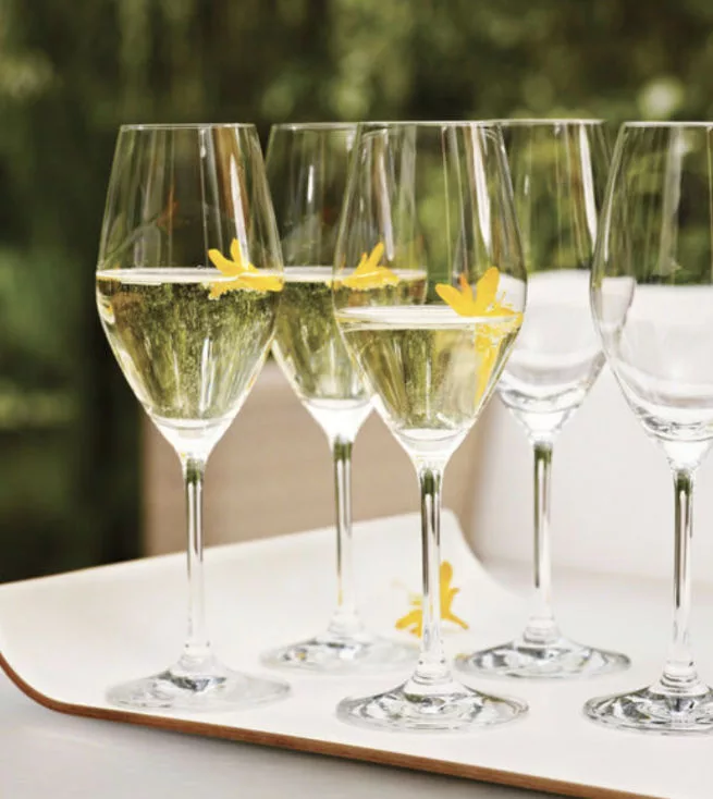9.5-oz Prédicat 6-pc Champagne Set