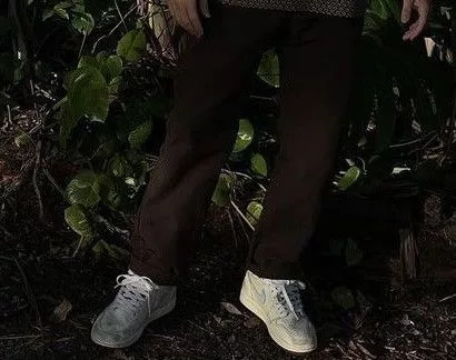 Vans Casual Pants Vans authentic chino Brown